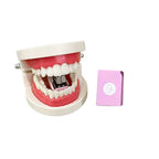 Creative Tooth Teeth Stapler Funny Prank Novelty Stationery Mini Portable Staplers Office School Student Desk Supplies Gift