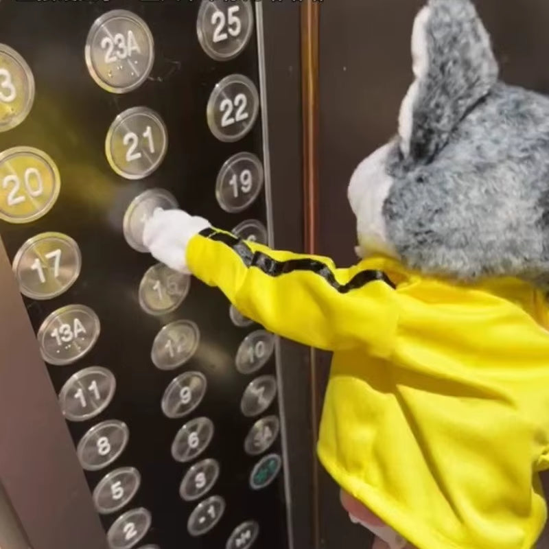 Husky puppet with extended paw