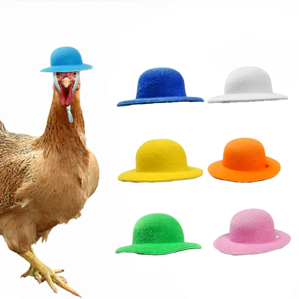 Funny Chicken Hat for Hens & Roosters – Tiny Adjustable Poultry Pet Costume Hat, Chicken Accessories & Photo Prop