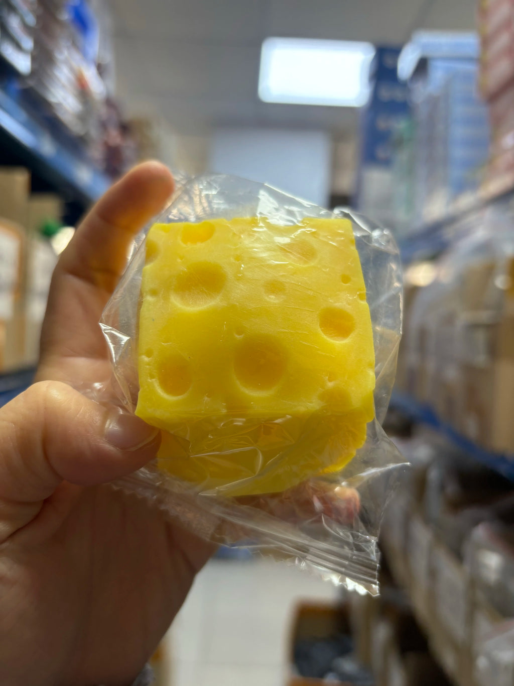 Squishy Cheese Cube
