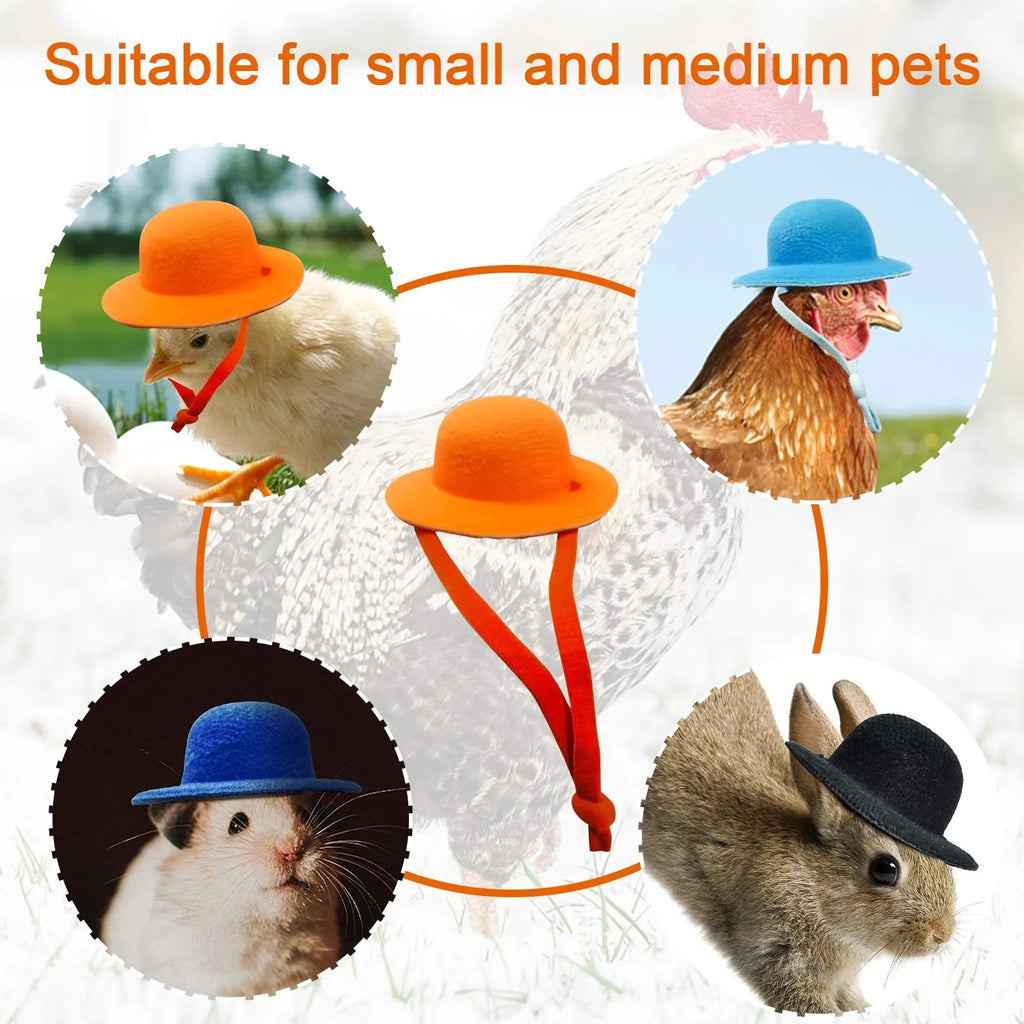 Funny Chicken Hat for Hens & Roosters – Tiny Adjustable Poultry Pet Costume Hat, Chicken Accessories & Photo Prop