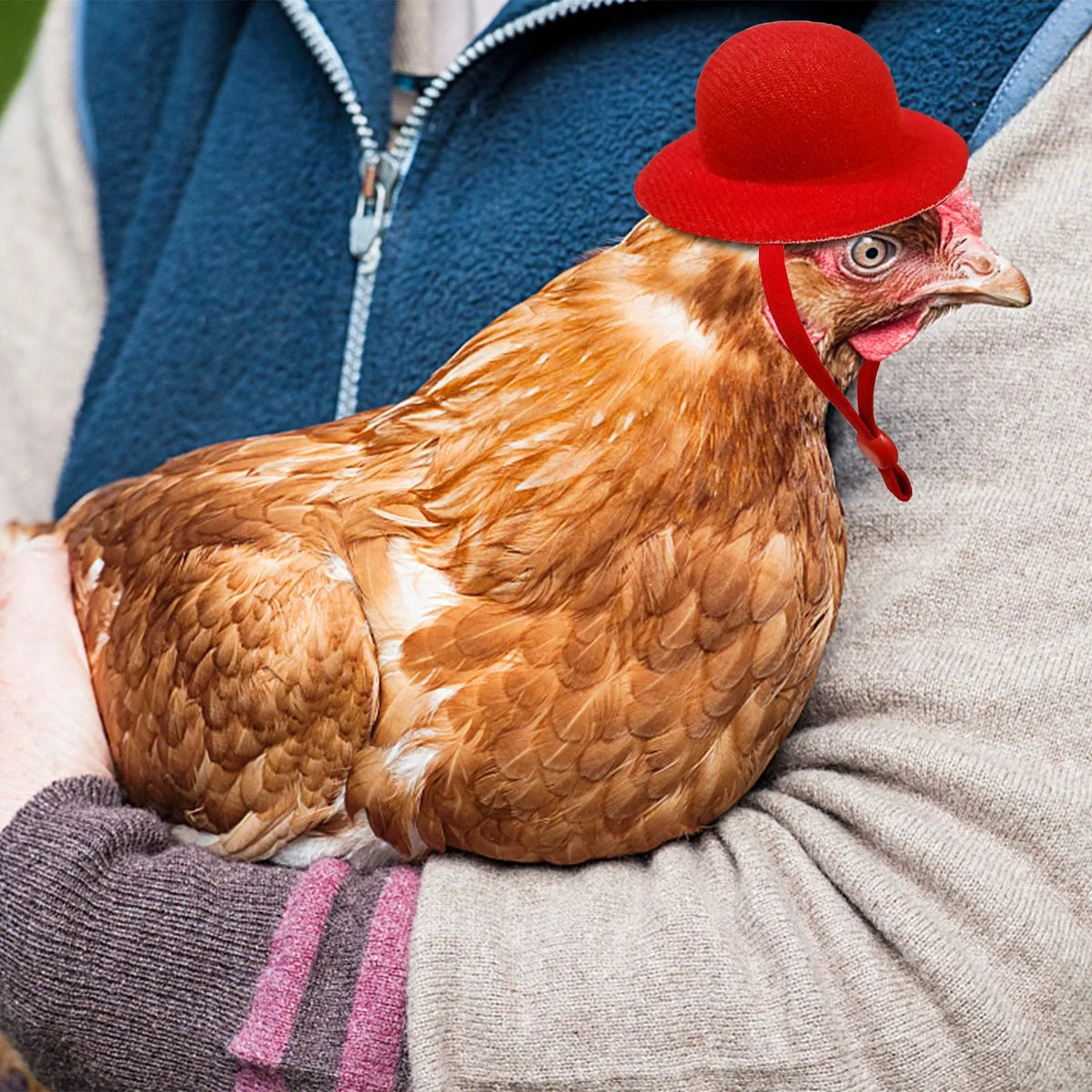 Funny Chicken Hat for Hens & Roosters – Tiny Adjustable Poultry Pet Costume Hat, Chicken Accessories & Photo Prop