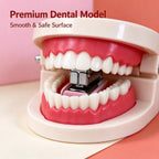 Creative Tooth Teeth Stapler Funny Prank Novelty Stationery Mini Portable Staplers Office School Student Desk Supplies Gift