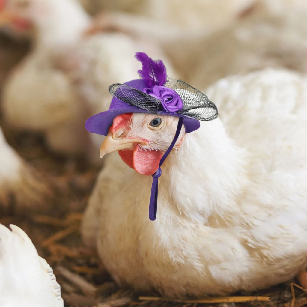 Chicken Hat for Hens Tiny Pets Funny Chicken Accessories Hen Top Hat for Rooster Duck Parrot Hamster Poultry Stylish Show Costum